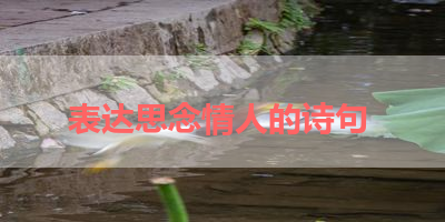 表达思念情人的诗句 