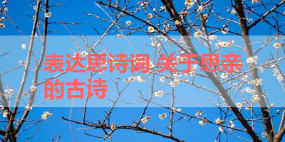表达思诗词 关于思亲的古诗 