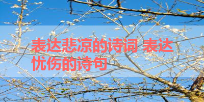 表达悲凉的诗词 表达忧伤的诗句 