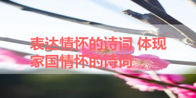 表达情怀的诗词 体现家国情怀的诗词