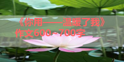 《你用——温暖了我》作文600~700字 