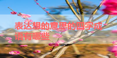 表达想的意思的四字成语有哪些 
