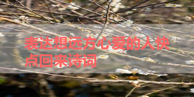 表达想远方心爱的人快点回来诗词 
