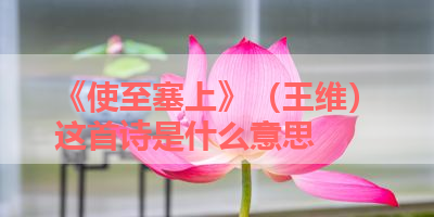 《使至塞上》（王维）这首诗是什么意思 