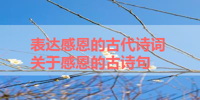 表达感恩的古代诗词 关于感恩的古诗句 