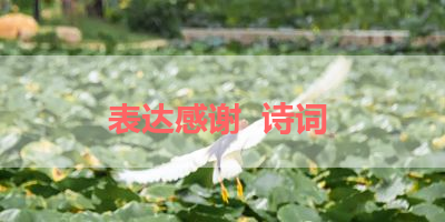 表达感谢  诗词 