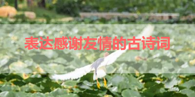 表达感谢友情的古诗词 