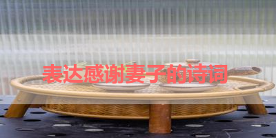 表达感谢妻子的诗词 
