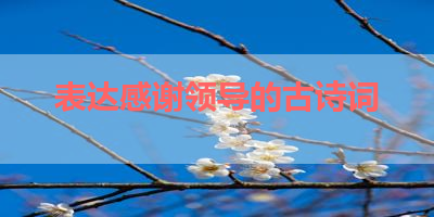 表达感谢领导的古诗词 