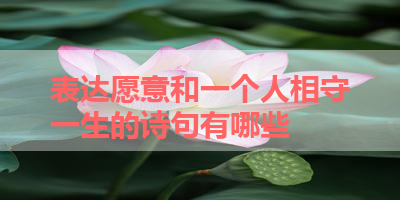 表达愿意和一个人相守一生的诗句有哪些 