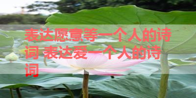 表达愿意等一个人的诗词 表达爱一个人的诗词