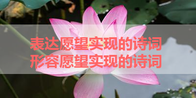 表达愿望实现的诗词 形容愿望实现的诗词