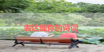 表达懂你的诗词 