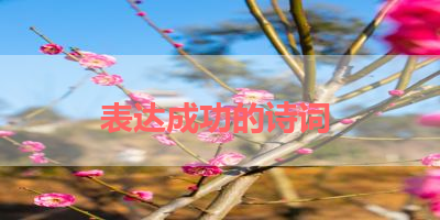 表达成功的诗词 