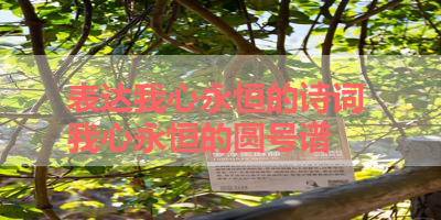 表达我心永恒的诗词 我心永恒的圆号谱