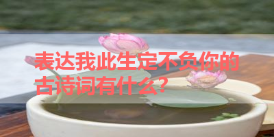表达我此生定不负你的古诗词有什么？ 