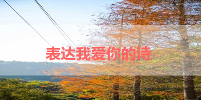 表达我爱你的诗 