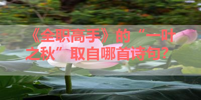 《全职高手》的“一叶之秋”取自哪首诗句？ 