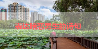 表达暗恋男生的诗句 