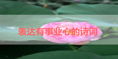 表达有事业心的诗词 