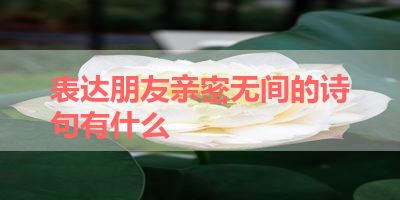 表达朋友亲密无间的诗句有什么 