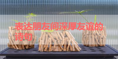表达朋友间深厚友谊的诗句 