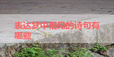 表达梦中相见的诗句有哪些 