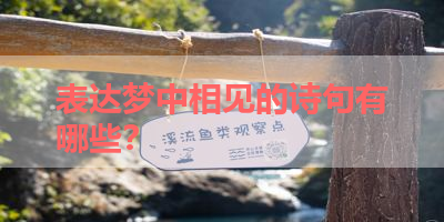 表达梦中相见的诗句有哪些？ 
