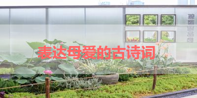 表达母爱的古诗词 