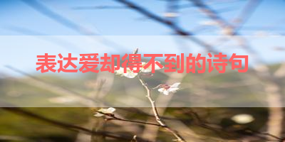 表达爱却得不到的诗句 