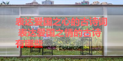 表达爱国之心的古诗词 表达爱国之情的古诗有哪些 