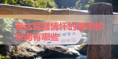 表达爱国情怀的唐诗和宋词有哪些 