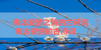 表达爱情之情的古诗词 表达爱情的古诗词