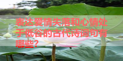 表达爱情失落和心情处于低谷的古代诗词句有哪些？ 