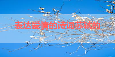 表达爱情的诗词苏轼的 