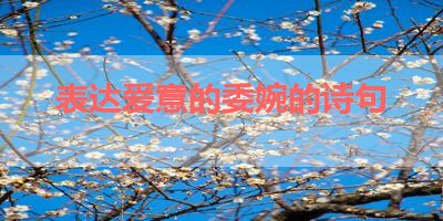 表达爱意的委婉的诗句 