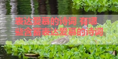 表达爱慕的诗词 有哪些含蓄表达爱慕的诗词 