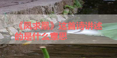 《凤求凰》这首诗讲述的是什么意思 