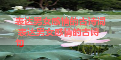 表达男女感情的古诗词 表达男女感情的古诗句