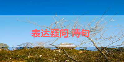表达疑问 诗句 