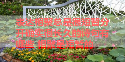表达相聚总是很短暂分开确实很长久的诗句有哪些 相聚是短暂的