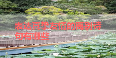 表达真挚友情的离别诗句有哪些 