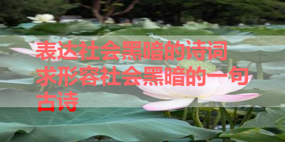表达社会黑暗的诗词 求形容社会黑暗的一句古诗 