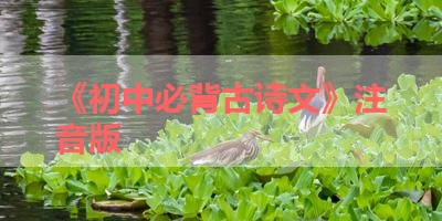 《初中必背古诗文》注音版 