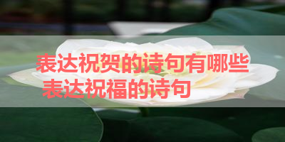 表达祝贺的诗句有哪些 表达祝福的诗句