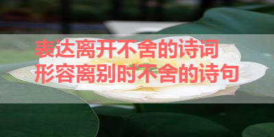 表达离开不舍的诗词 形容离别时不舍的诗句 