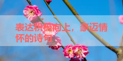 表达积极向上，豪迈情怀的诗句 