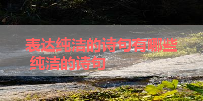 表达纯洁的诗句有哪些 纯洁的诗句