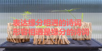 表达缘分相遇的诗词 形容相遇是缘分的诗词