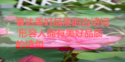 表达美好品质的古诗词 形容人拥有美好品质的诗句 